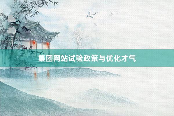 集团网站试验政策与优化才气