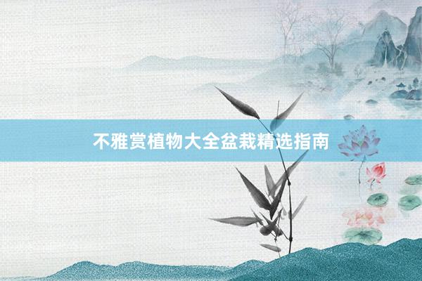 不雅赏植物大全盆栽精选指南