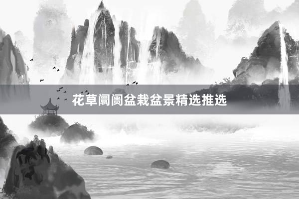 花草阛阓盆栽盆景精选推选